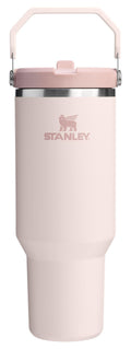 STANLEY IceFlow 2.0 Flip Straw Tumbler with Handle 30 oz | Twist On Lid and Flip Up Straw | Leakproof Water Bottle | Insulated Stainless Steel | BPA-Free | Dried Pine