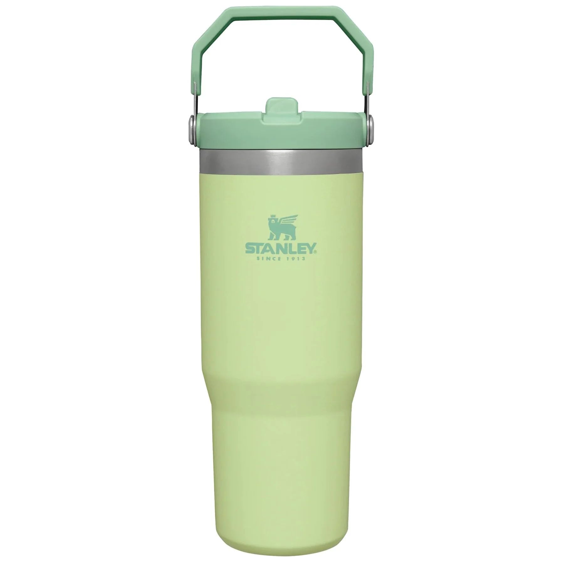 STANLEY IceFlow 2.0 Flip Straw Tumbler with Handle 30 oz | Twist On Lid and Flip Up Straw | Leakproof Water Bottle | Insulated Stainless Steel | BPA-Free | Dried Pine