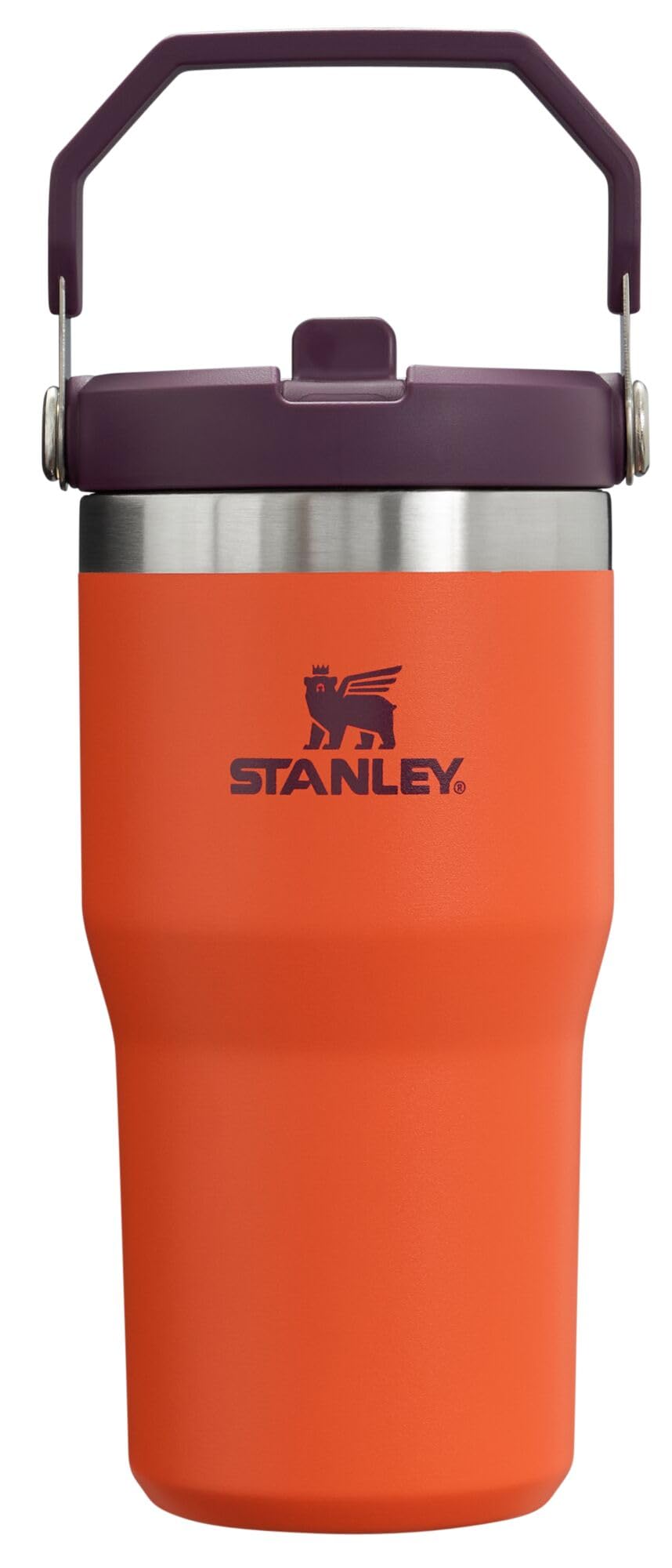 STANLEY IceFlow 2.0 Flip Straw Tumbler with Handle 30 oz | Twist On Lid and Flip Up Straw | Leakproof Water Bottle | Insulated Stainless Steel | BPA-Free | Dried Pine