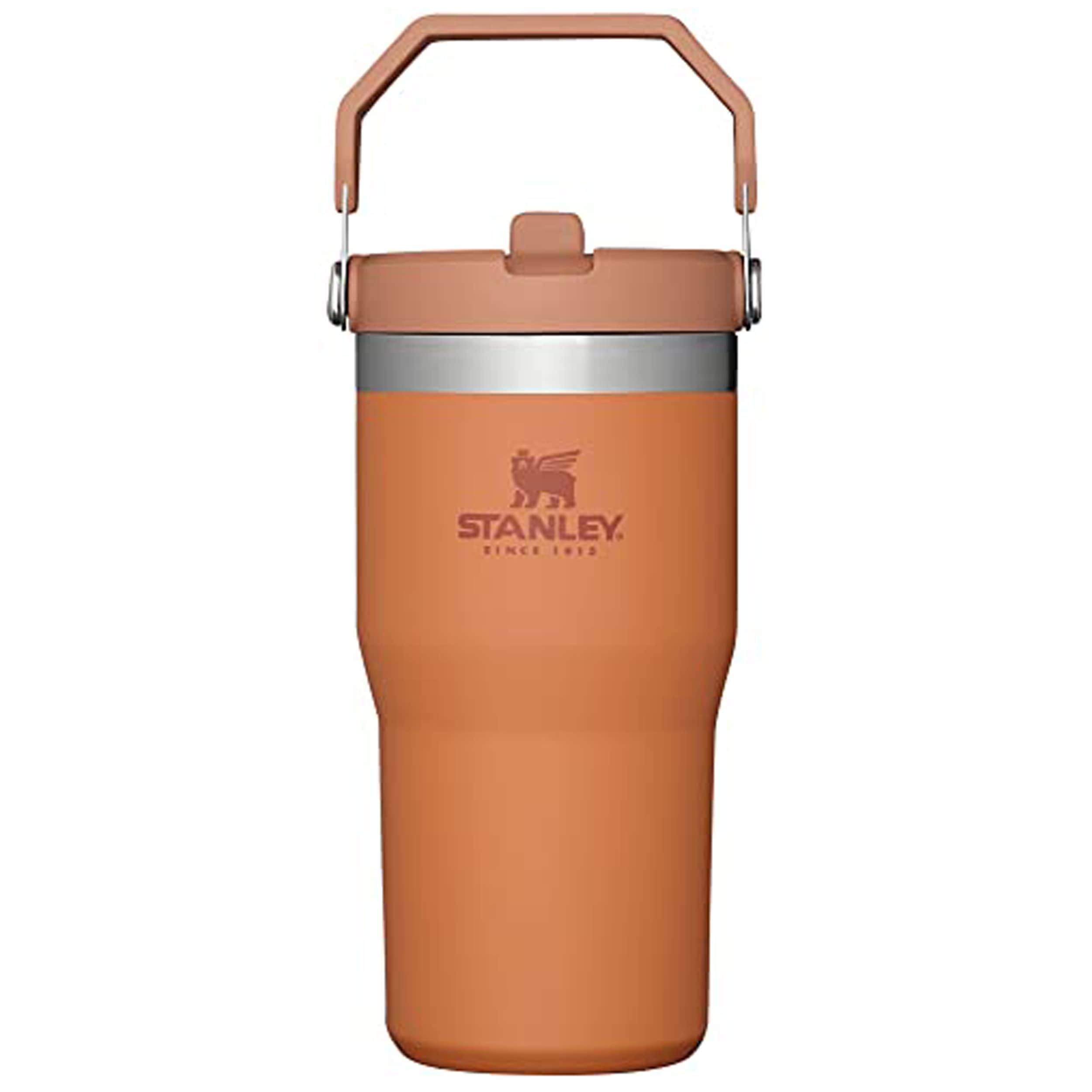STANLEY IceFlow 2.0 Flip Straw Tumbler with Handle 30 oz | Twist On Lid and Flip Up Straw | Leakproof Water Bottle | Insulated Stainless Steel | BPA-Free | Dried Pine