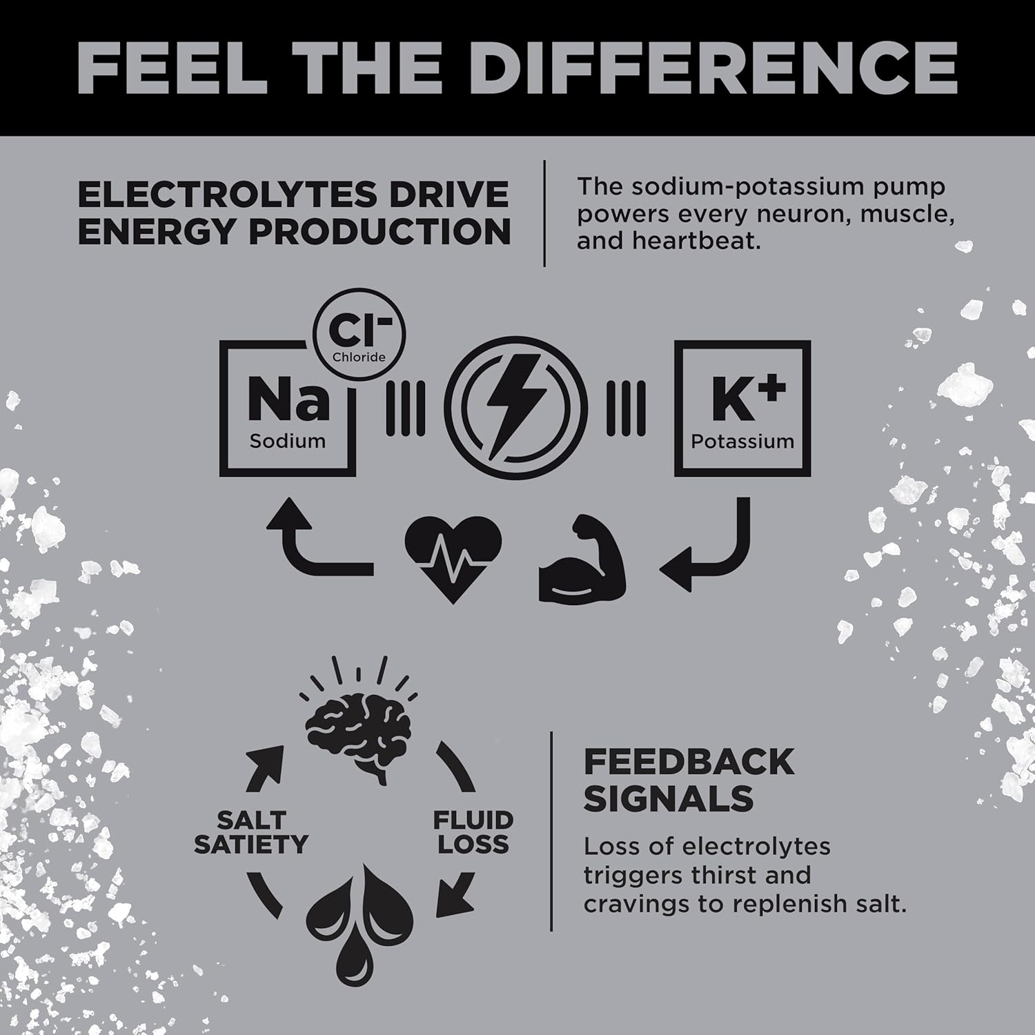 LMNT Zero Sugar Electrolytes - Variety Pack Bundle | Drink Mix | 36-Count